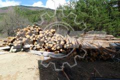 Bulgaria biomass pellet mill project