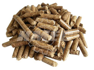 bamboopellets-3