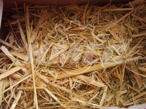 bamboo wastes