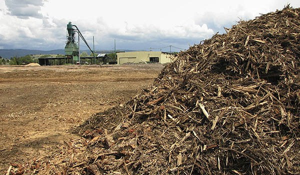 biomass energy material