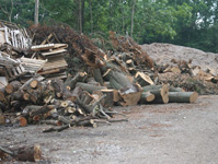 biomass-material