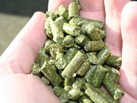 biomass pellets