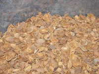 biomass wastes