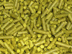 biomass-fuel