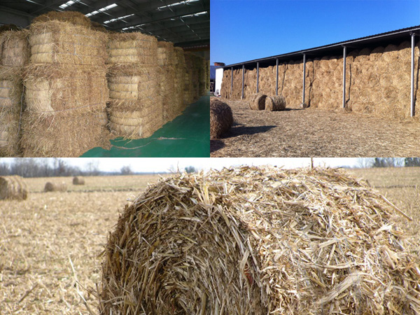 different straw materials