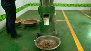 the final product-pellets the final product-pellets