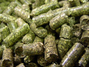 grass pellets-2 grass pellets-2