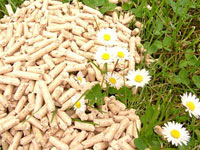 pellets for environment
