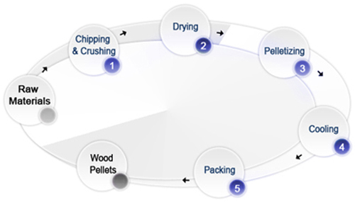 process of wood pelletizing plant