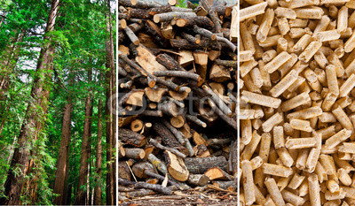 raw materials and wood pellets