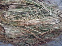 straw straw
