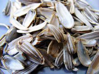 sunflower husk seed shell sunflower husk seed shell