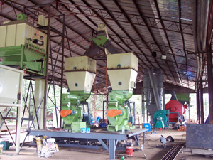 wood pellet production line