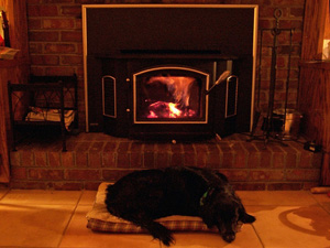 wood pellets for heating wood pellets for heating
